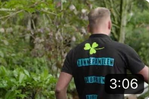 zonnepanelen-accu-plaatsen